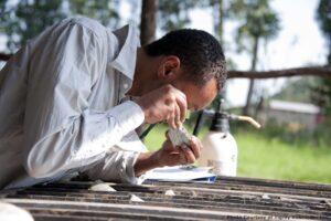 Canadian mining firm East African metals offer Ethiopian mine to China Danish cement mining company and Canadian East Africa Minerals have been granted major mining licenses which is seen as a kick for Ethiopian mining industry- The Exchange