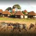 The Kidepo National Park in Uganda. It is one of the 5 places that make Uganda the ultimate holiday destination. www.exchange.co.tz