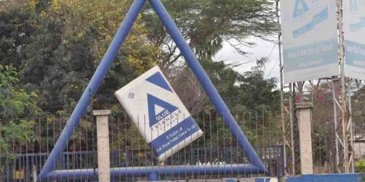 East African Portland Cement has reported a Sh1.3 billion loss in the six months period ended December 31, 2018, as the firm struggled with low revenues from its business. This is a 30.7 per cent dip from the Sh969.6 million losses posted in a similar period in 2017. Revenues at the firm plunged to Sh1.4 billion. Directors at the firm have pegged the dismal performance to a difficult business environment on the backdrop of increased input prices and a sluggish market.