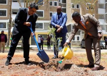 From L-R:Karibu Homes Founder and Managing Director Mr. Ravi Kohli, Shelter Afrique Managing Director & CEO Andrew Chimphondah, and Shelter Afrique Chairman Daniel Nghidinua plant and water a tree to mark the launch of phase II of Karibu Homes.  The housing project was funded by Shelter Afrique at a cost of Ksh355 million.
