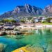 Black Entrepreneurs urged to seize Western Cape opportunities - The Exchange www.exchange.co.tz