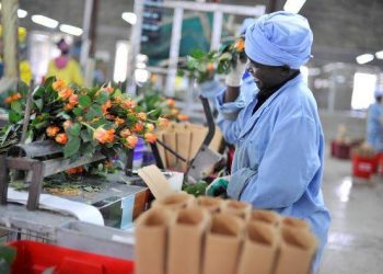 Strong Kenyan presence at World Floral Expo 2019- The Exchange
