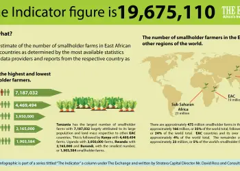 Economic impact of small holder farmers in East Africa