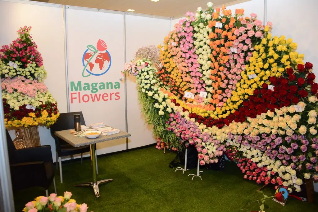 Magana IFEX-Magana Flowers www.theexchange.africa