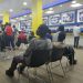 A virtual betting shop. As of 2017, Kenya topped Sub-Saharan Africa as having the highest number of betting youth Kenya and it plans to lock out foreigners in the gambling industry www.theexchange.africa
