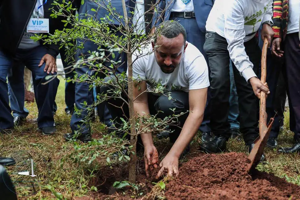 Inside the Ethiopian record breaking 350 Million tree planting campaign