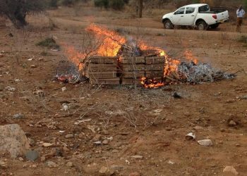 Tanzania has twice burned chicks from Kenya and auctioned animals seized from Kenyan herders. The country’s ‘jilted lover’ attitude hinders uniting East Africa with its actions betraying its unwillingness to make EAC work www.theexchange.africa