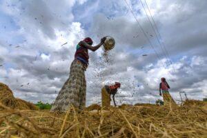 How Cellulant is tapping Africa’s emerging Agritech market Cellulant’s Agrikore platform – an online marketplace for smallholder farmers, agricultural input and produce traders is tapping into Africa’s emerging Agritech market valued at €5.3 billion (US$5.9 billion) according to a new report by the Technical Centre for Agricultural and Rural Cooperation (CTA) and Dalberg Advisors.This comes as 94 per cent of the continent’s emerging Agritech market remains untapped, according to the survey. The State of Digitalisation of Agriculture in Africa 2019 report identifies online marketplace solutions such as Agrikore as significant use cases of how digital tools are being built to tackle major challenges of attracting and retaining a significant number of buyers and sellers, and in thus doing, help to solve the problem of inefficient and fragmented agricultural markets.