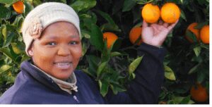 Palladium rolls out new impact investment fund for African small businesses Palladium rolls out new impact investment fund for African small businesses