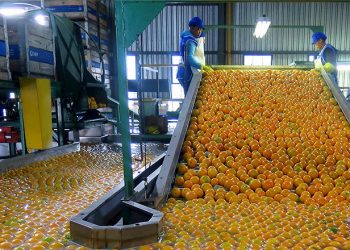 How Private sector is driving African Agricultural transformation