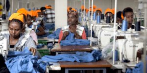 Africa Fashionomics: Business of Fashion in Africa led by Ethiopia 1 Textile mill