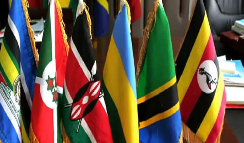 EAC common currency 2024 deadline not attainable