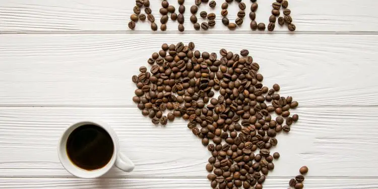 EU and UNCTAD seeks more coffee aroma from Angola