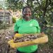 Wefarm secures $13 Million in funding to scale its Smallholder Agricultural Ecosystem