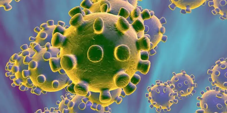 The Coronavirus 2019nCoV. The scare is spreading with 213 people having died from the viral infection in China with close to100 cases reported outside China. [Photo/CNN]