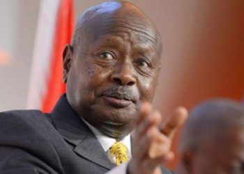 Museveni gets $19.6m beef funding from UK