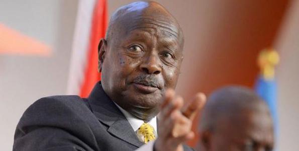Museveni gets $19.6m beef funding from UK
