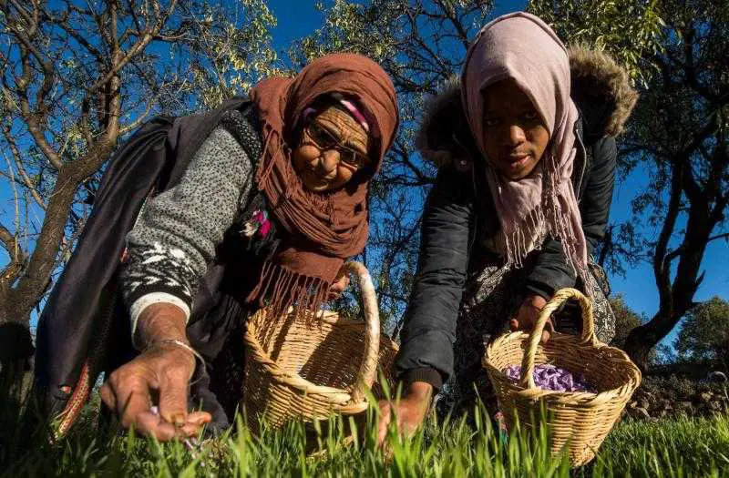 Farmers in Morocco