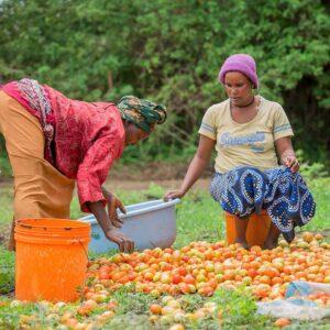 tanzanias path to poverty reduction and pro poor growth 768x768 1