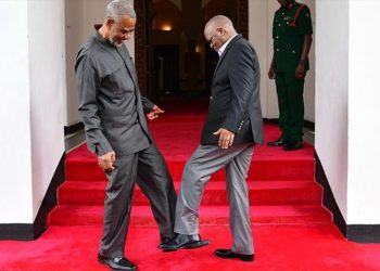 President Magufuli doing a leg gesture amid COVID-19 no hand shaking adherance: Anadolu Agency: Exchange