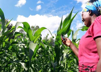 Africa’s Agriculture future beyond COVID -19
