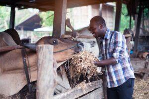 The future of food production: Digitizing Africa’s agri-business farmer