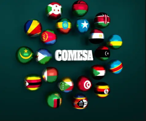COMESA region expected to grow at 0.6%