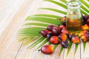 Palm Oil: Africa losing land to sweet tooth snacks palm