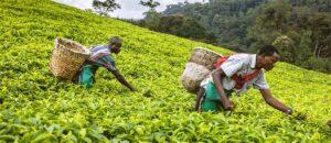 How Tanzania marked 5.7 per cent growth Q1 2020 Economy Industry of Tanzania 1