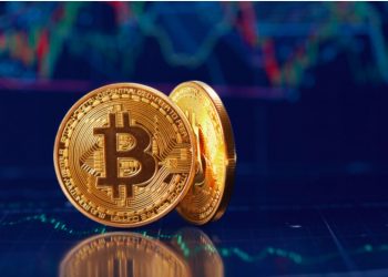 The bitcoin’s popularity has seen the number of women in the cryptocurrency industry increase by 43.24 per cent in the first quarter of 2020. www.theexchange.africa