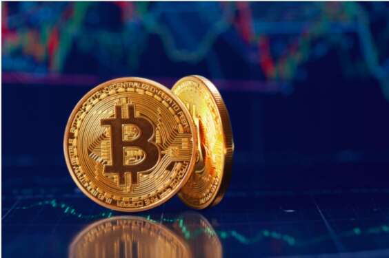 The bitcoin’s popularity has seen the number of women in the cryptocurrency industry increase by 43.24 per cent in the first quarter of 2020. www.theexchange.africa
