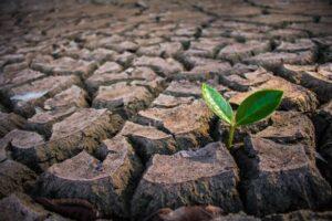 AFDB scaling up climate financing AFDB scaling up climate financing