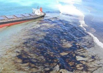 Mauritius Oil Spill causing major environmental degradation off the coast of the former French Colony - The Exchange