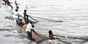 Foreign investment, plus or minus to Tanzania fishing sector? FISHING