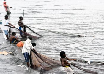 Illegal fishing threatening sector development. Photo/Localnews.com
