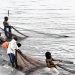 Illegal fishing threatening sector development. Photo/Localnews.com