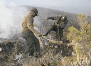 Wildfire strikes Africa’s highest peak: Environmental disaster strikes Tanzania’s Kilimanjaro Wildfire strikes Africa
