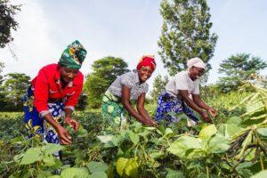 Equipping African women in Agriculture