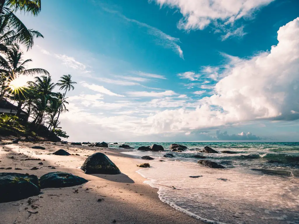 Sandy beaches of Mauritius - The Exchange