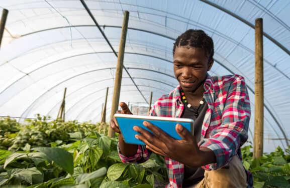 Agritech Africa Source IT News Africa
