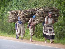 women carrying firewood