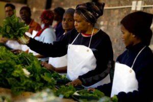 Comesa launches campaign to reach 50 Million women in business Women in Business Africa (The Exchange) www.theexchange.africa