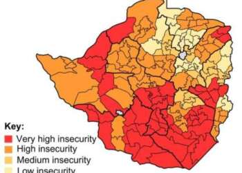 zimbabwe food security
