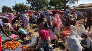 Ethiopia’s economy to recover to 8% in 2022 Ethiopia’s economy to fall to 2% in 2021 and recover to 8% in 2022