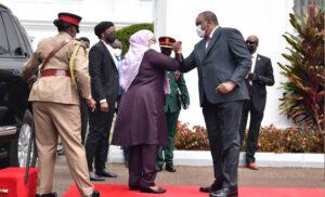 Tanzania Kenya replenish relations with a gas deal on top Millard Ayo