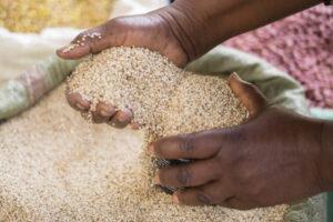 Sub-saharan Africa growth to resume to 2.8% in 2021 Grain hands shutterstock 1030322029 E