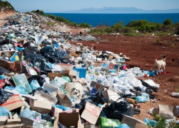Plastic Waste Exports