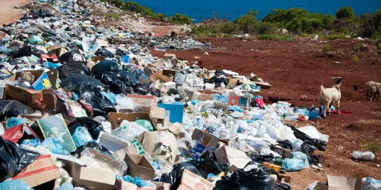 Plastic Waste Exports