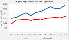 Egypt aims to increase its agricultural production by 30% in 2024