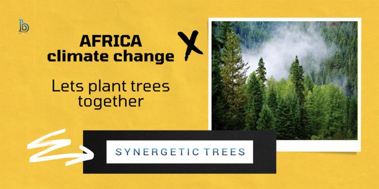 synergetic trees